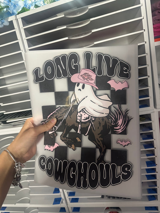 FULL COLOR SCREEN PRINT TRANSFERS - LONG LIVE COWGIRLS - AA34